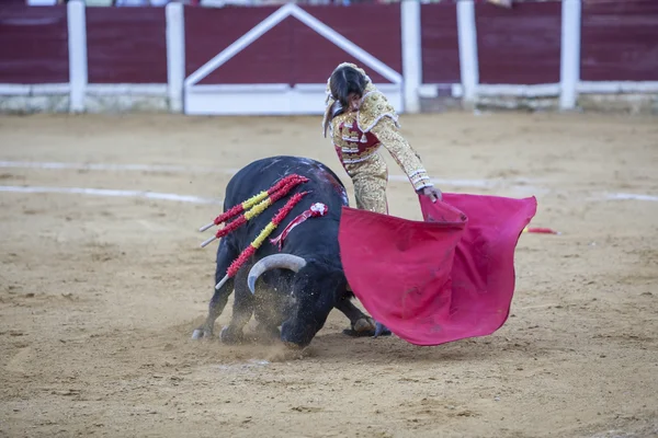 De Spaanse stierenvechter Curro Diaz stierenvechten met de kruk — Stockfoto