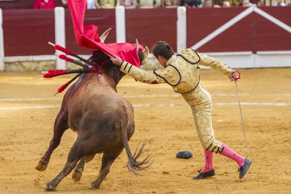 นักสู้วัวสเปน El Fandi bullfighting กับ crutch ใน — ภาพถ่ายสต็อก