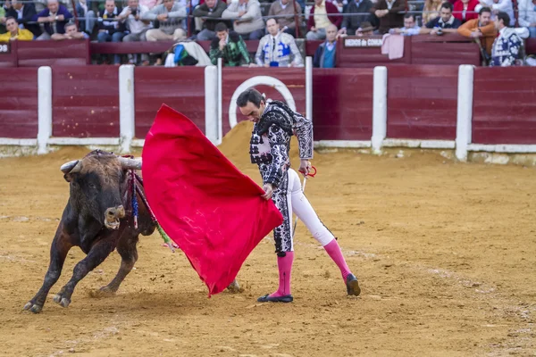 Le torero espagnol El Fandi corrida avec la béquille dans — Photo