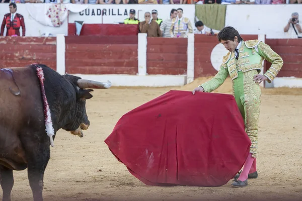 The Spanish Bullfighter Sebastian Castella bullfighting with the — Stock Photo, Image