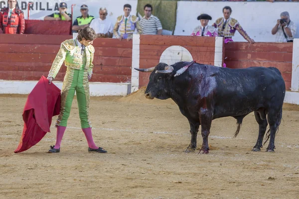 Den spanska tjurfäktare Sebastian Castella tjurfäktning med den — Stockfoto