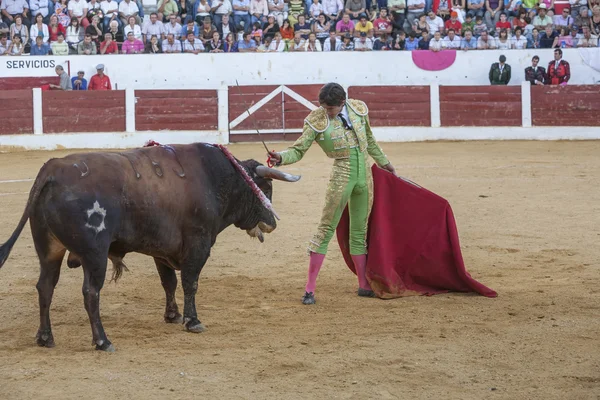 El torero español Sebastian Castella taurina con el —  Fotos de Stock