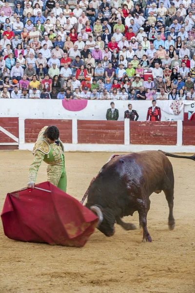 Villacarrillo, İspanya'nın Bullring içinde koltuk değneği ile İspanyol boğa güreşçisi Sebastian Castella boğa güreşi — Stok fotoğraf