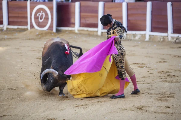 Η ισπανική ταυρομάχος Morante de la Puebla ταυρομαχίες με τ — Φωτογραφία Αρχείου