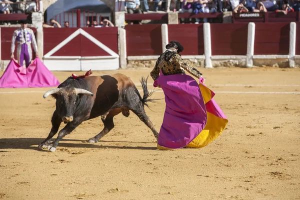 Der spanische Stierkämpfer morante de la puebla stierkampf mit t — Stockfoto