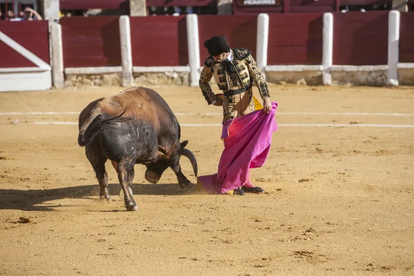 Bullring Ubeda, İspanya'nın içinde koltuk değneği ile İspanyol boğa güreşçisi Morante de la Puebla boğa güreşi — Stok fotoğraf