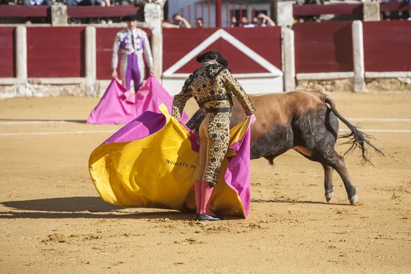 O toureiro espanhol Morante de la Puebla touradas com t — Fotografia de Stock