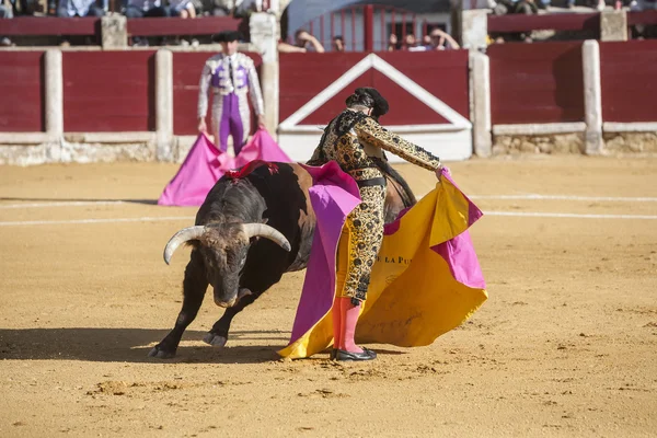 Der spanische Stierkämpfer morante de la puebla stierkampf mit t — Stockfoto