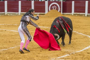 İspanyol Boğa Güreşçisi El Cid otobüsü öldürmek için girmeye hazırlanıyor