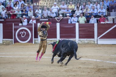 Morante de la Puebla bir boğa güreşi sırasında bayraklar koyarak, Ubeda, Ja
