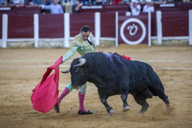 İçinde koltuk değneği ile İspanyol Boğa güreşçisi El Fandi boğa güreşi