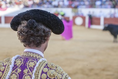 Pigtail, ayrıntılı olarak Matadorlar kalmıştı XIX yüzyıl