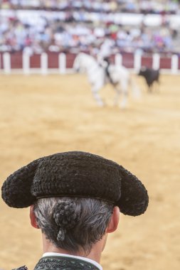  Detail of Pigtail, in the XIX century the bullfighters were left to grow a ponytail that braided in a bun called mona, vague recollection of the times of the wigs of the XVIII century, in the Bullring of Ubeda, Spain clipart