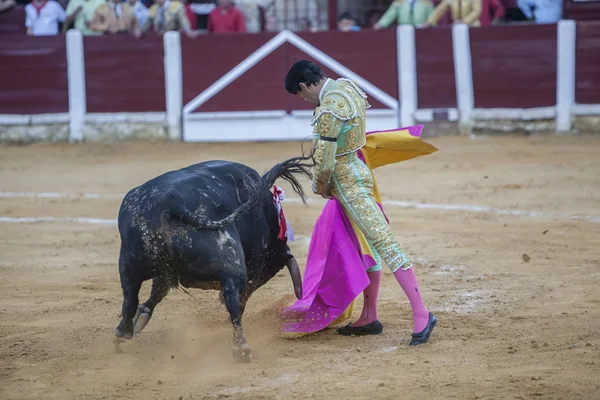 Il torero spagnolo El Fandi corrida con la stampella in — Foto Stock