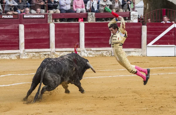 El Fandi umieszczenie flagi podczas walki byka, Ubeda, Prowincja Jaen, — Zdjęcie stockowe