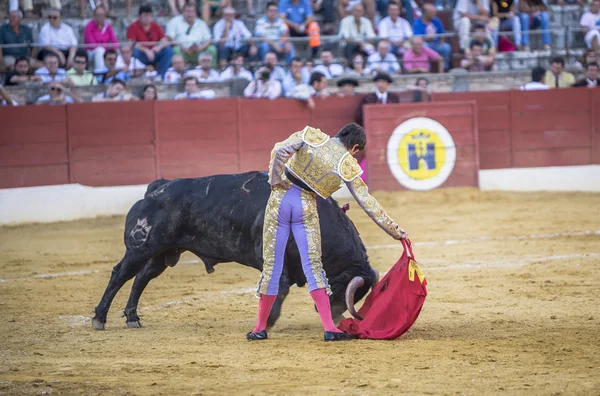 El torero español Sebastian Castella taurina con el —  Fotos de Stock