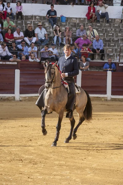 Fermin Bohorquez, tjurfäktare på hästryggen spanska, Ubeda, Jaen, — Stockfoto