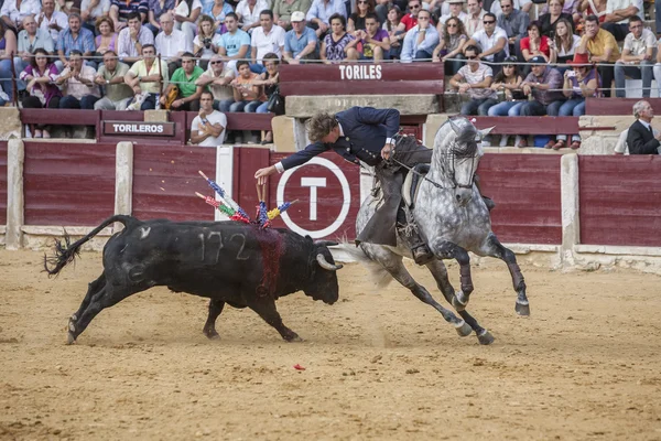 Fermin Bohorquez, tjurfäktare på hästryggen spanska, Ubeda, Jaen, — Stockfoto