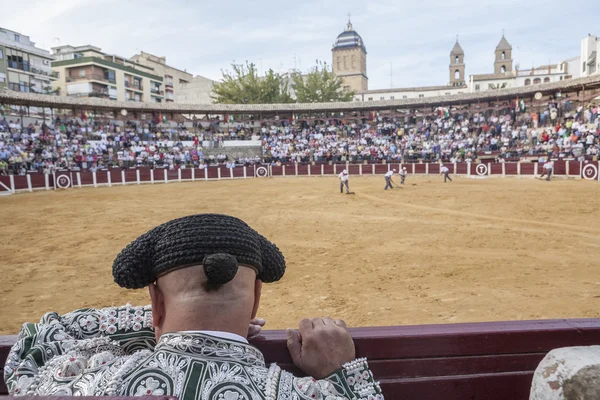 Detail of Pigtail, in the XIX century the bullfighters were left — Stock Photo, Image