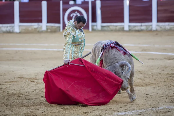 T koltuk değneği ile İspanyol Boğa güreşçisi El Cid boğa güreşi — Stok fotoğraf