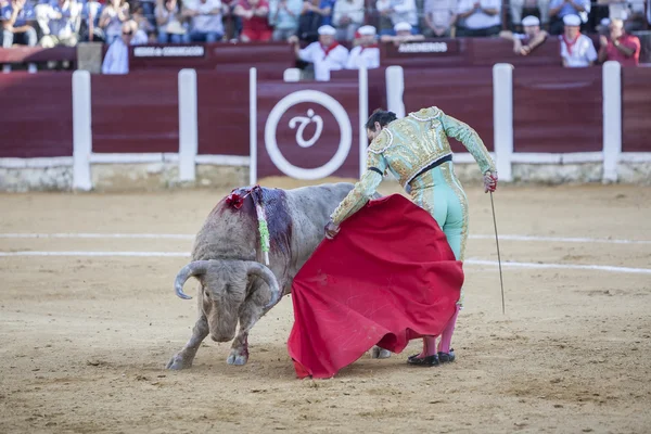 Το ταυρομαχίες El Cid ισπανική ταυρομάχος με το δεκανίκι της t — Φωτογραφία Αρχείου