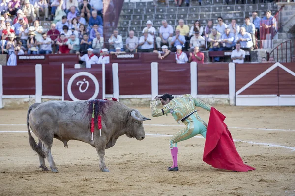 Το ταυρομαχίες El Cid ισπανική ταυρομάχος με το δεκανίκι της t — Φωτογραφία Αρχείου