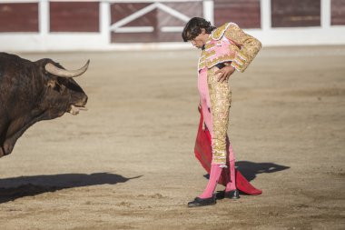 Koltuk değneği ile İspanyol Boğa güreşçisi Curro Diaz boğa güreşi 