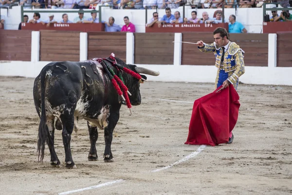 スペインの闘牛士デビッド・ファンディラ・エル・ファンディがエンテに準備 — ストック写真