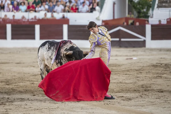 O toureiro espanhol Sebastian Castella touradas com o — Fotografia de Stock