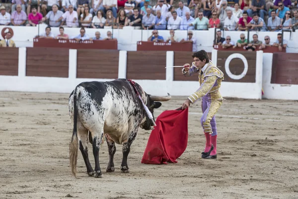 O toureiro espanhol Sebastian Castella se prepara para entrar para — Fotografia de Stock