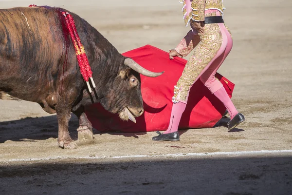 Le torero espagnol Curro Diaz corrida avec la béquille — Photo