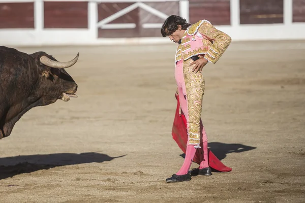 De Spaanse stierenvechter Curro Diaz stierenvechten met de kruk — Stockfoto