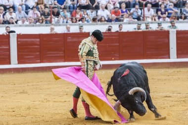 İspanyol Boğa Güreşçisi Julian Lopez El Juli boğa güreşi t ile