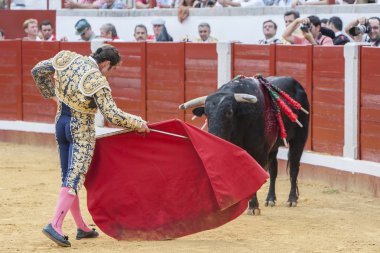 İspanyol Boğa Güreşçisi Enrique Ponce koltuk değneği ile boğa güreşi