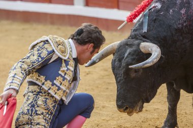 İspanyol Boğa Güreşçisi David Fandila El Fandi boğa güreşi ile