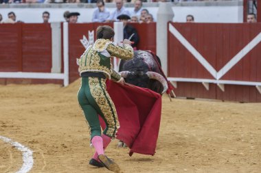 İspanyol Boğa Güreşçisi Julian Lopez El Juli bir öldürmek için hazırlar 