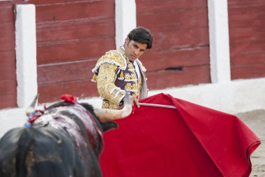 İspanyolca Boğa güreşçisi Francisco Rivera Paquirri boğa güreşi