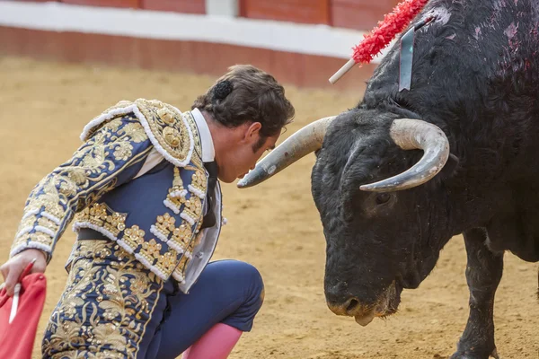 De Spaanse Bullfighter David Fandila El Fandi stierenvechten met — Stockfoto