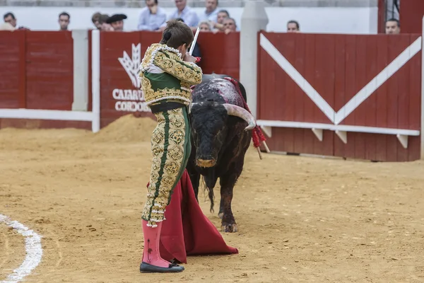 Den spanska tjurfäktare Julian Lopez El juli förbereder sig för att döda en — Stockfoto