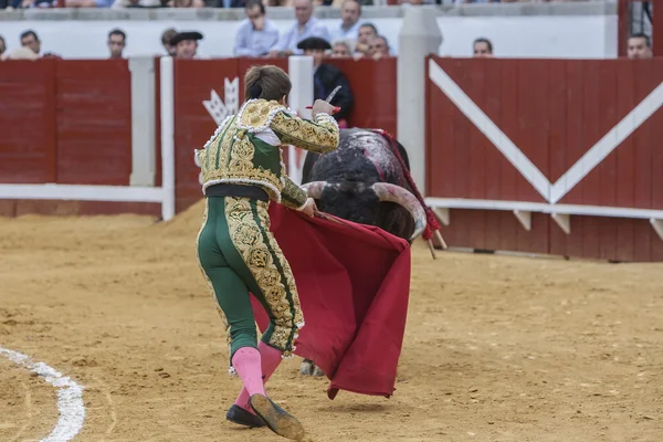 Španělský Bulhač Julian Lopez El Juli připravuje na zabití — Stock fotografie