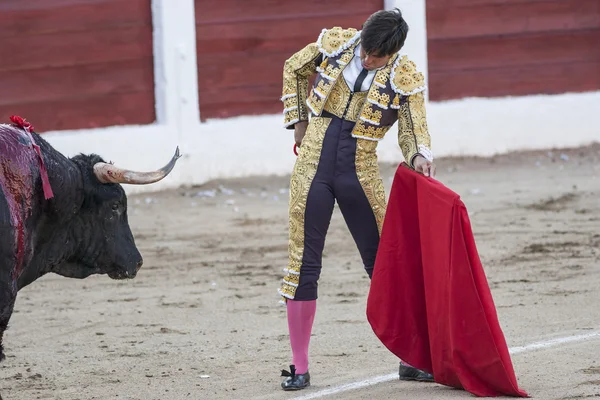 Býčí zápasy španělský toreador Francisco Rivera Paquirri — Stock fotografie