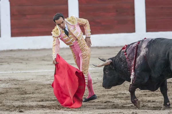 O toureiro espanhol Manuel Jesus El Cid luta com a muleta no Bullring de Linares, Espanha — Fotografia de Stock