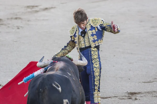 Den spanska tjurfäktaren Juan Jose Padilla tjurfäktning med kryckan i tjurfäktningsarenan i Linares, Spanien — Stockfoto