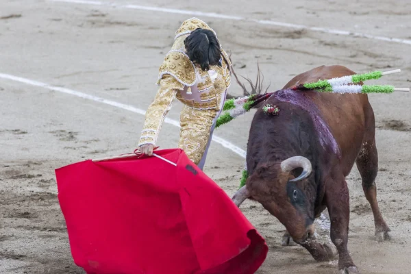 Koltuk değneği ile İspanyol Boğa güreşçisi Curro Diaz boğa güreşi — Stok fotoğraf