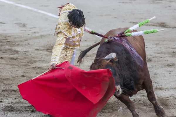 De Spaanse stierenvechter Curro Diaz stierenvechten met de kruk — Stockfoto