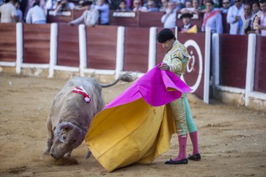 İnci ile İspanyol Boğa güreşçisi Manuel Jesus El Cid boğa güreşi