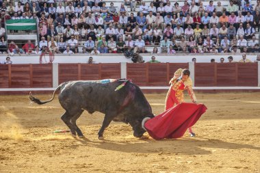 Cr ile İspanyol Boğa güreşçisi Antonio Ferrera boğa güreşi
