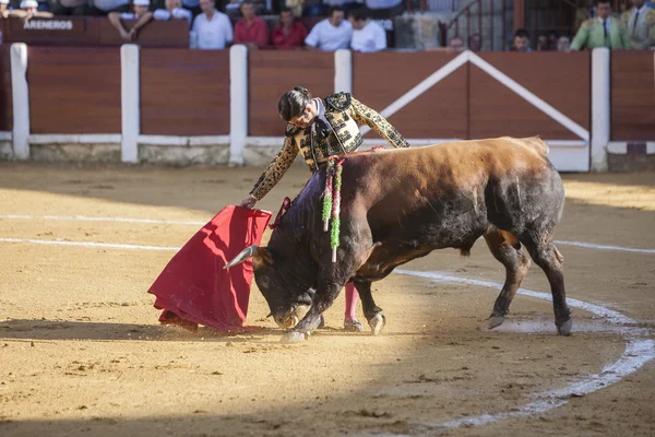 Η ισπανική ταυρομάχος Morante de la Puebla ταυρομαχίες με τ — Φωτογραφία Αρχείου