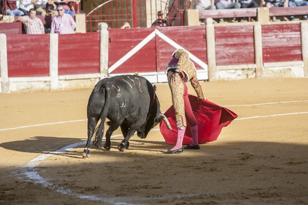 Den spanska tjurfäktare Curro Diaz tjurfäktning med kryckan — Stockfoto