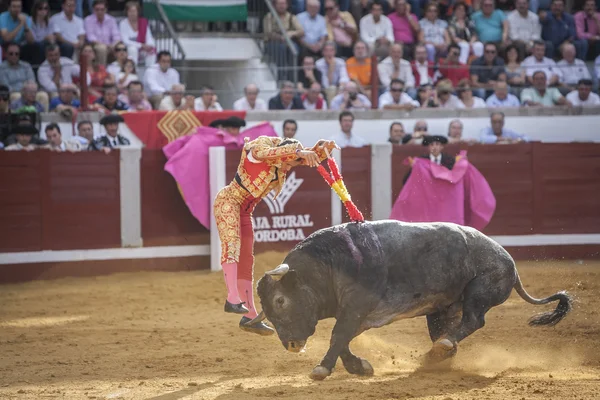 O toureiro espanhol Antonio Ferrera colocando bandeiras durante a b — Fotografia de Stock